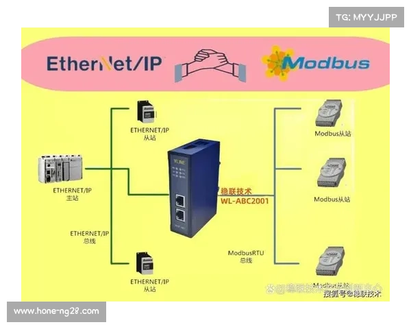 多平台分发策略趋于成熟，跨终端无缝观看优化用户接入体验。